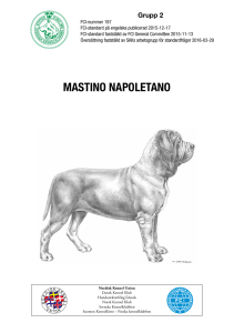SKK-standard för Mastino Napoletano