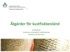 Åtgärder för kustfiskbestånd, Ulf Bergström SLU