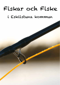 Fiskar och Fiske - Fiske Eskilstuna