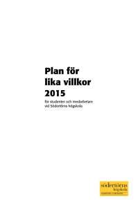 Plan för lika villkor 2015
