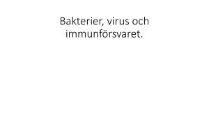 Bakterier, virus och immunförsvaret.