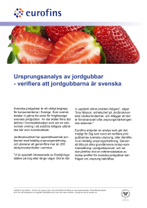 Ursprungsanalys av jordgubbar - verifiera att