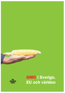 GMO i Sverige, EU och världen