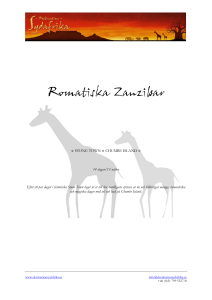 Romantiska Zanzibar - Destination Sydafrika