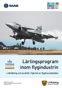 Lärlingsprogram inom flygindustrin