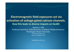 Electromagnetic field exposures act via activation of voltage