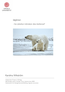 Isbjörnen Karolina Wikström - Institutionen för biologisk