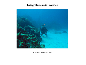 Fotografera under vattnet