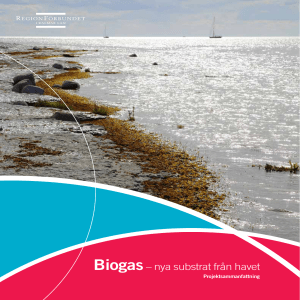 Biogas– nya substrat från havet