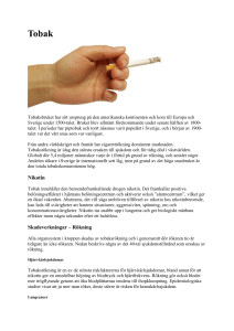 Nikotin Skadeverkningar – Rökning