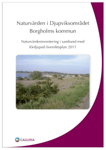 Naturvärden i Djupviksområdet Borgholms kommun