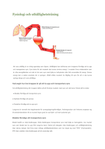 Fysiologi och uthållighetsträning