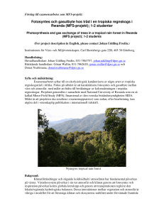Fotosyntes och gasutbyte hos träd i en tropiska regnskogs i Rwanda