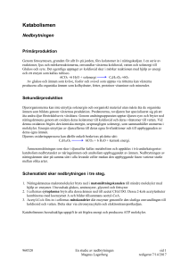 Amnesomsredigerat - Magnus Lagerberg Homepage