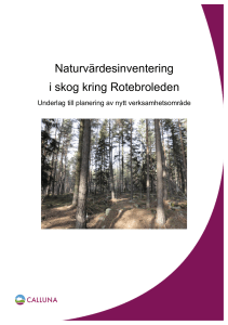 Naturvärdesinventering i skog kring Rotebroleden