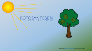Presentation Fotosyntesen
