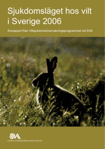 Sjukdomsläget hos vilt i Sverige 2006