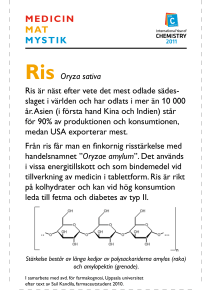 medicin mat mystik - Uppsala universitet