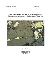 Mineralogisk undersökning av tio borrkärnsprov från