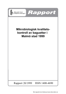 Kontroll av kvaliteten hos baguetter i Malmö Stad 1999