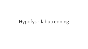 Hypofys - labutredning