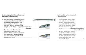 Bestämningsnyckel till svenska arter av tobisfiskar