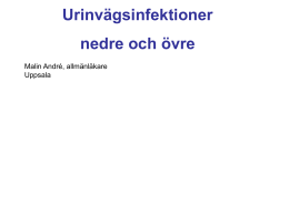 symtom vid njurbäckeninflammation symtom vid njurbäckeninflammation