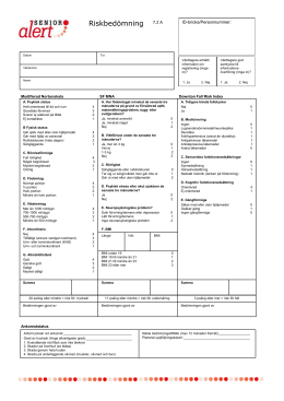 Riskbedömning - Region Plus