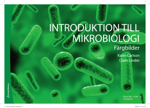 introduktion till mikrobiologi