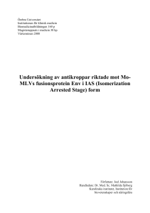 Undersökning av antikroppar riktade mot Mo-MLVs