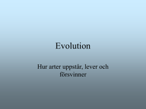 Evolution - anderhag.net