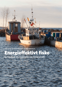 Energieffektivt fiske - Yrkeshögskolan Novia