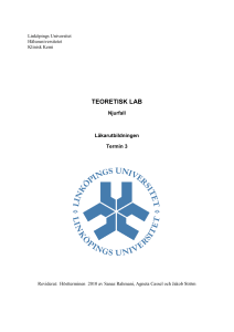 teoretisk lab - Linköpings universitet