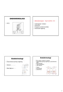 ENDOKRINOLOGI Endokrinologi