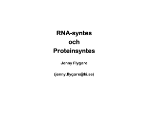 RNA-syntes och Proteinsyntes