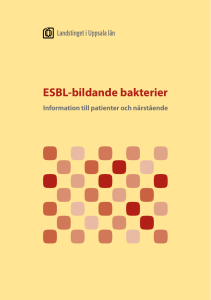 ESBL-bildande bakterier