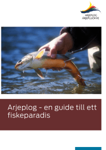 Arjeplog - en guide till ett fiskeparadis