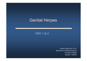 Genital Herpes - UU Studentportalen