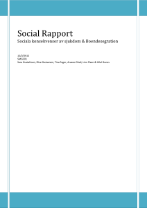 Social Rapport 2010