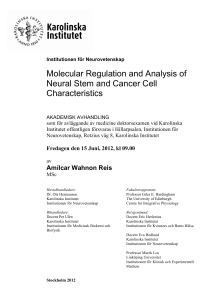 Molecular Regulation and Analysis of Neural Stem and