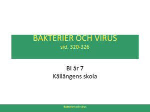 Bakterier och virus - Källängens skola 9C