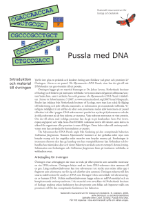 Pussla med DNA - Nationellt resurscentrum för biologi och bioteknik