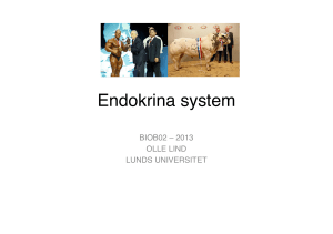 Endokrina system 2013.pptx