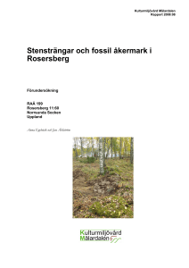 Stensträngar och fossil åkermark i Rosersberg