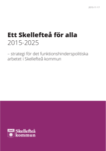 Ett Skellefteå för alla 2015-2025