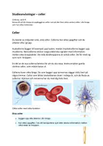 Studieanvisningar – celler Cellerna, sid 8