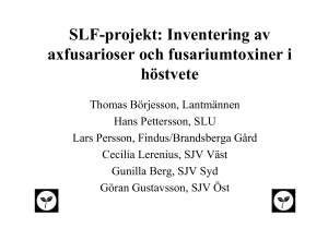 SLF-projekt: Inventering av axfusarioser och fusariumtoxiner i