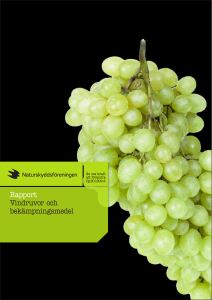 Rapport Vindruvor och bekämpningsmedel