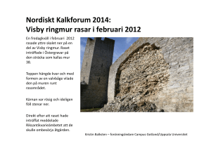 Visby ringmur kalkforum 2014 - Nordisk Forum for Bygningskalk
