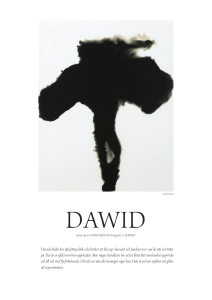 Dawids bilder har oa få publik och kritiker a klia sig i huvudet och